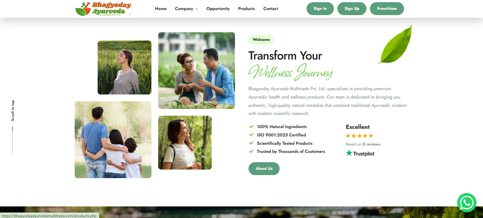 MLM (Multi-Level Marketing) System/Software